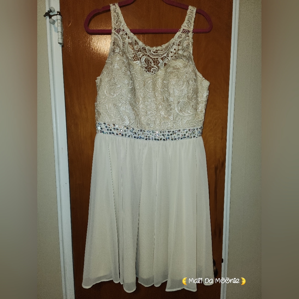 Ashley Stewart Size 16 Ivory Lace and Sequin Dress